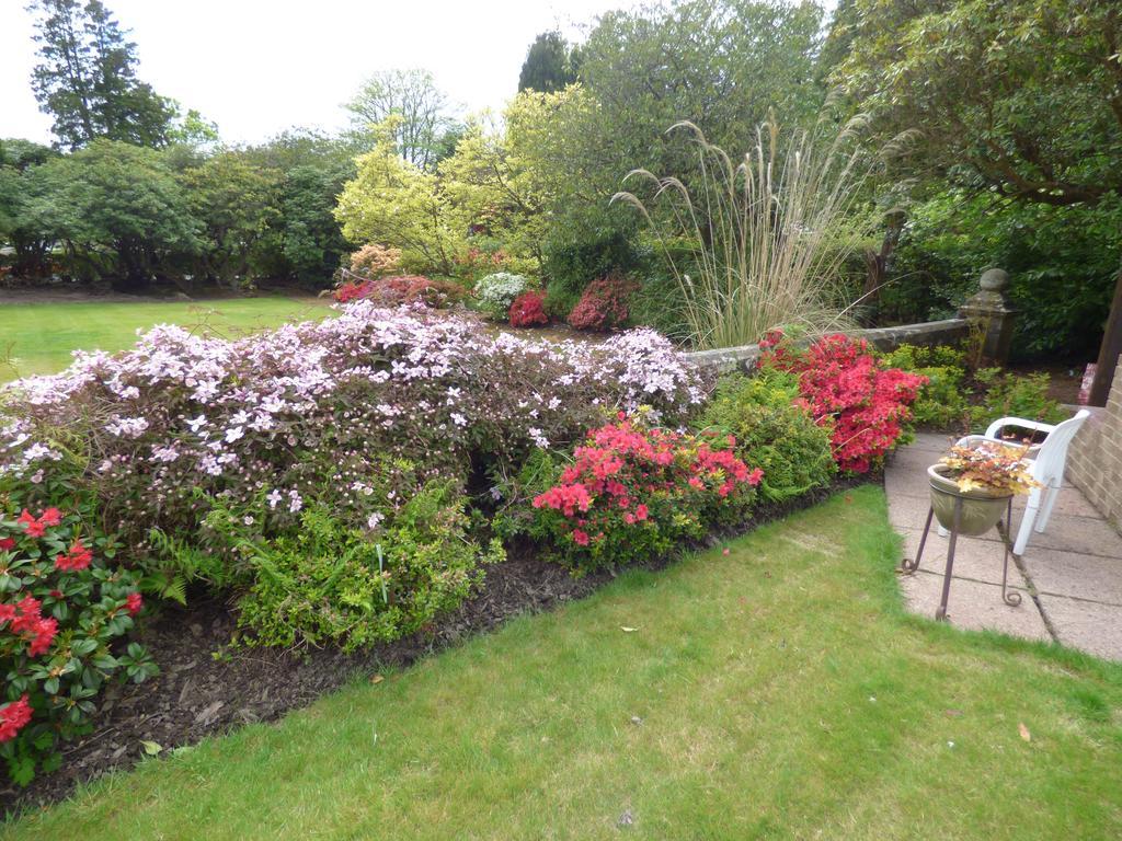 Bed and Breakfast Moorlands Helensburgh Exteriér fotografie